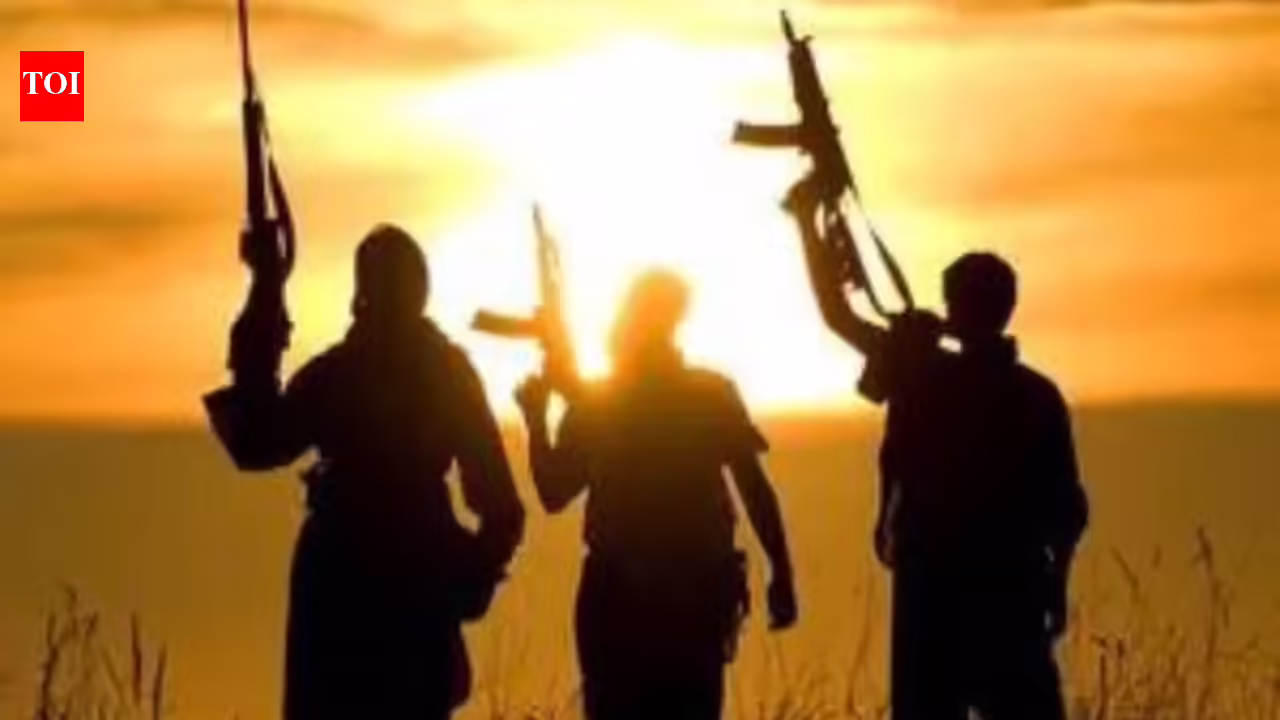 Terror group deliberate India hits, backed Myanmar rebels: Probe | India Information