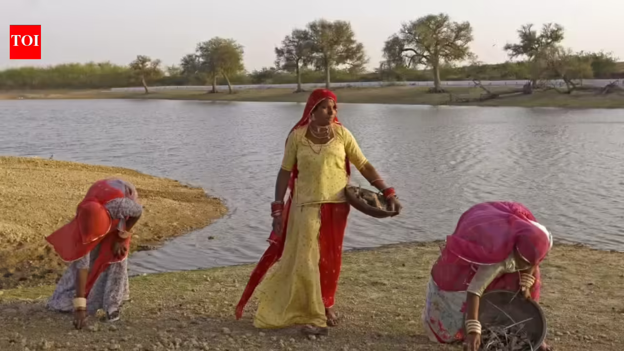 ​Blue saree brigade: Girls on the coronary heart of India’s water methods | India Information