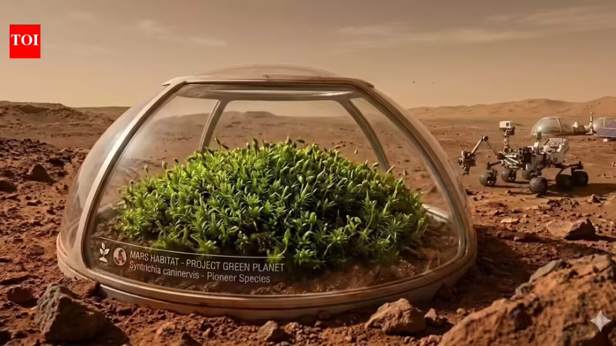 Scientists uncover a plant that might survive on Mars and assist create a ‘Inexperienced Planet’ |