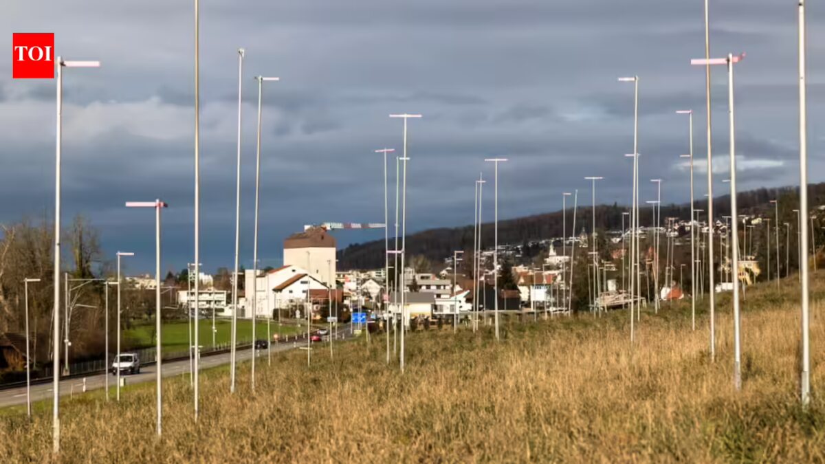 Invisible buildings: Why Switzerland marks out properties with tall poles weeks earlier than building | World Information