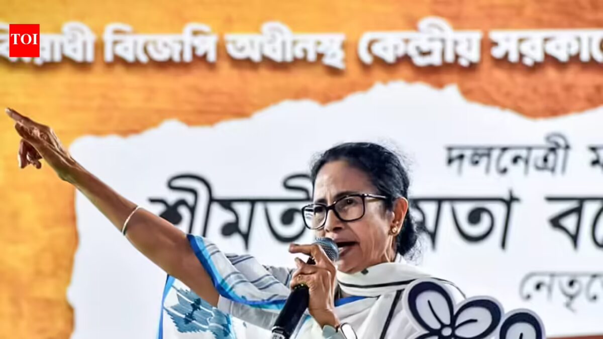 EC seeks report on Mamata’s ‘provocative’ comment from CEO | India Information