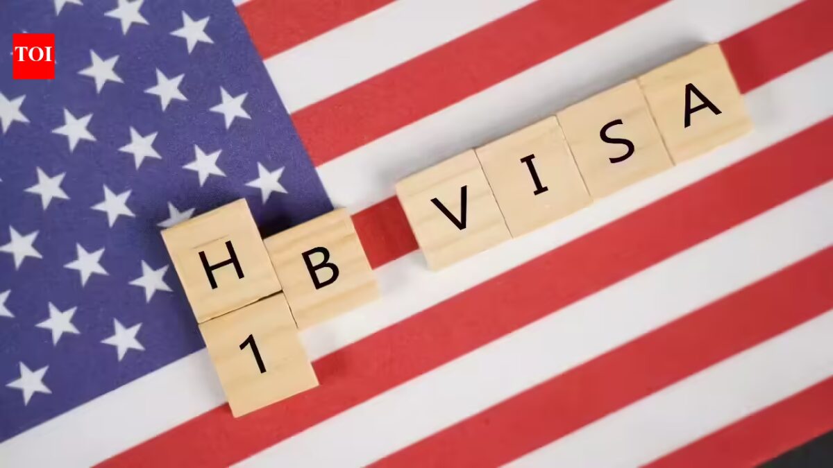 H-1B lottery outcomes: 6 the explanation why chosen candidates can nonetheless be rejected. What number of H-1B probabilities does one get?