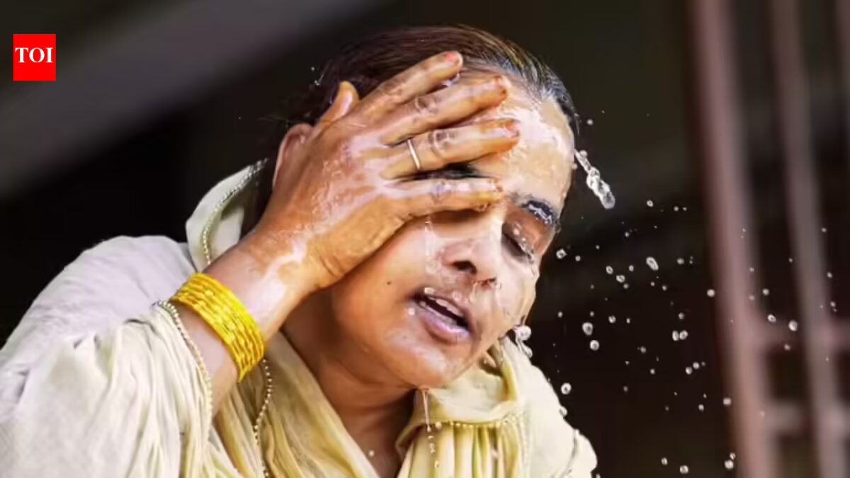 IMD warns of extra heatwave days in lots of states, April to get above regular rainfall within the nation, brining down temp in sure components | India Information