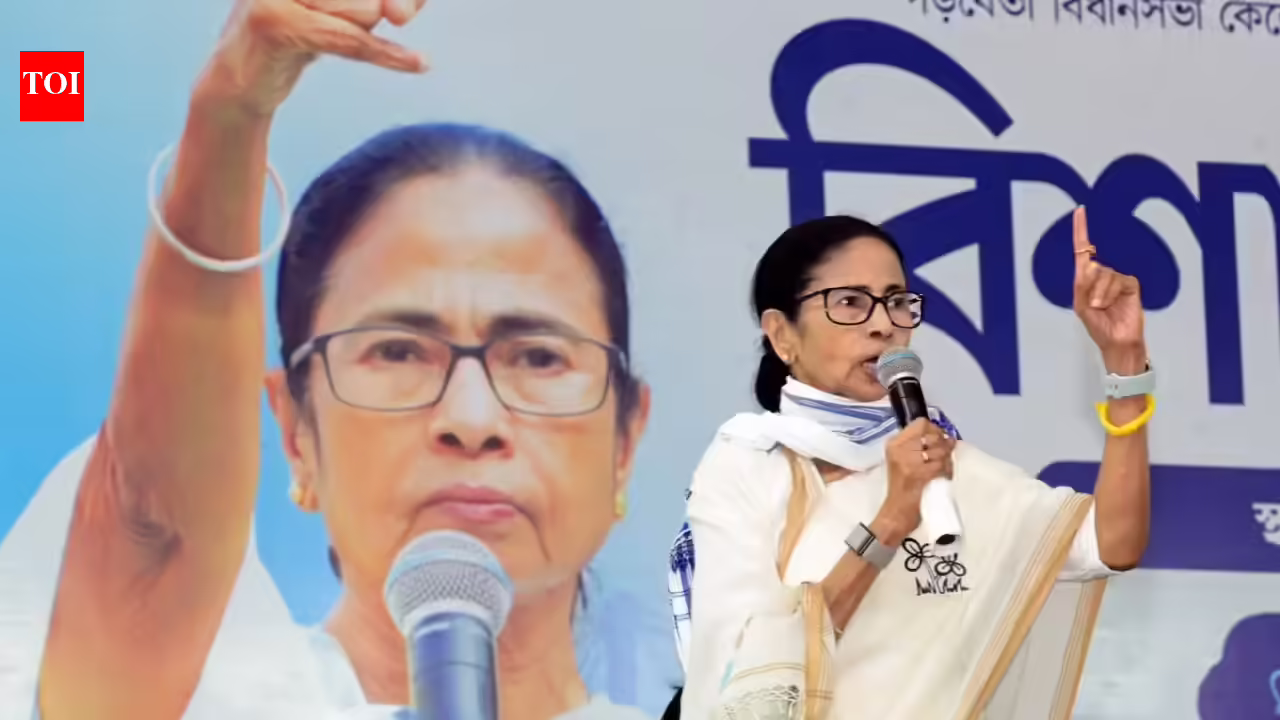 ‘Be cautious submitting nominations’: Mamata alleges EC bias, targets BJP | India Information