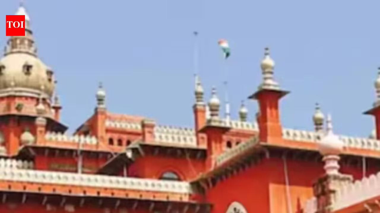 Madras Excessive Courtroom: Permit go away for third being pregnant: Madras HC to TN govt | India Information
