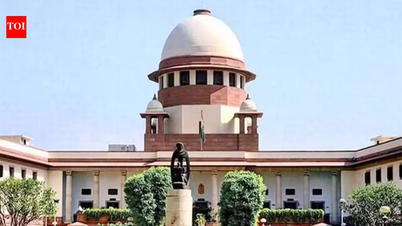 Night information wrap: SC asks Centre to contemplate abortion past 20 weeks for rape survivors; & extra | India Information