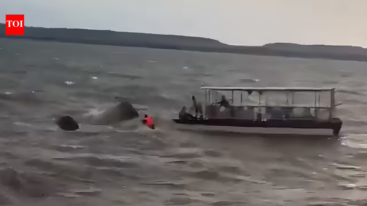 MP boat mishap: cruise capsizes in Jabalpur, 4 killed, rescue ops on | India Information