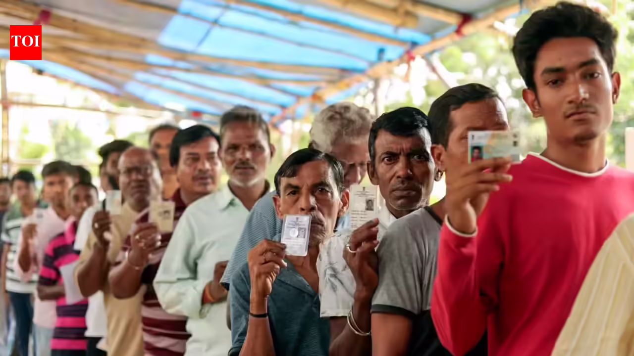 EC orders repoll in 15 cubicles throughout Bengal’s Magrahat Paschim, Diamond Harbour on Might 2 | India Information