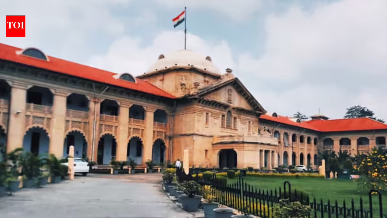 Allahabad HC: No unilateral proper over public land for non secular gatherings | India Information