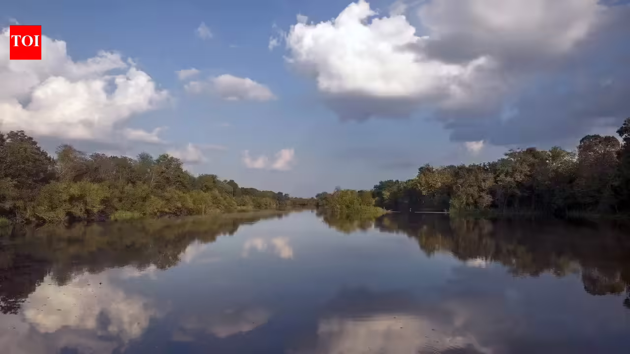World’s large Mississippi River shockingly reversed its circulate throughout Hurricane Isaac in 2012 in the USA: Scientists clarify what occurred | World Information