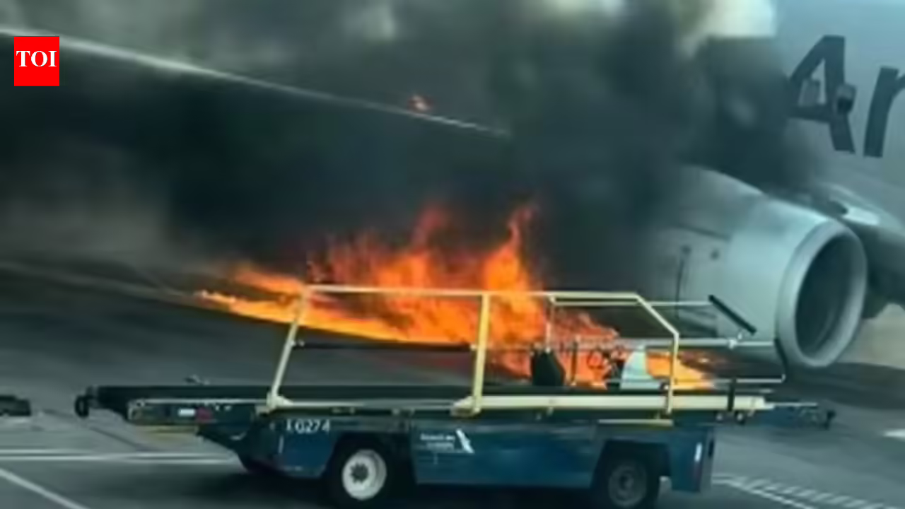 Aircraft with 231 flyers runs over jaywalker, engine catches fireplace