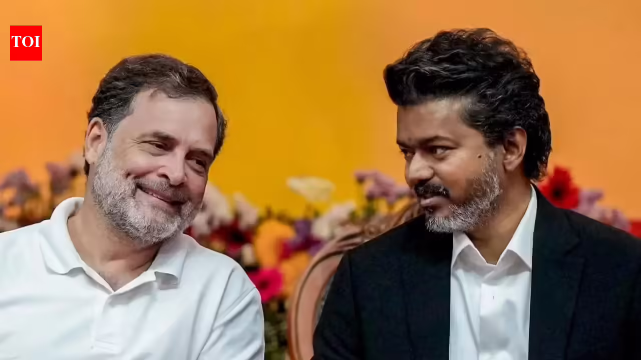 Vijay: Vijay’s first day as CM and a Tamil Nadu track row: What occurred? | India Information