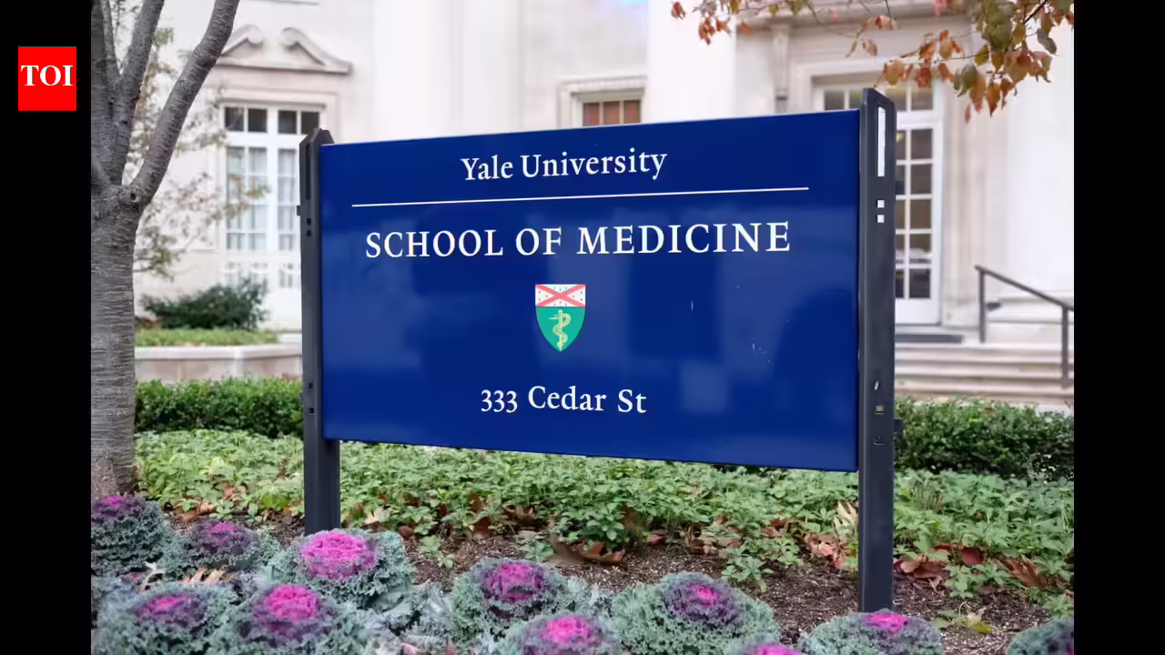 Yale medical college discriminated in opposition to Asian and White candidates, claims Trump administration