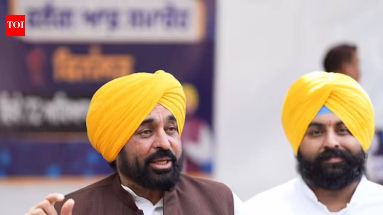 Not even single real vote to be allowed to be deleted underneath SIR: Punjab CM