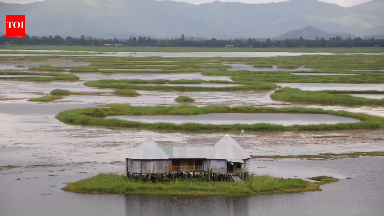 This mysterious floating lake with round islands in India can also be house to one of many world’s longest snakes