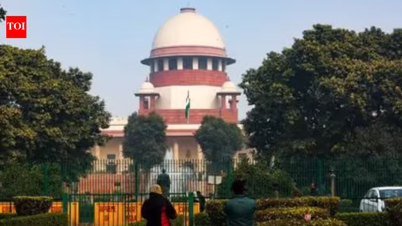 Supreme Courtroom points discover to Centre on plea towards sale of alcohol in tetra packs