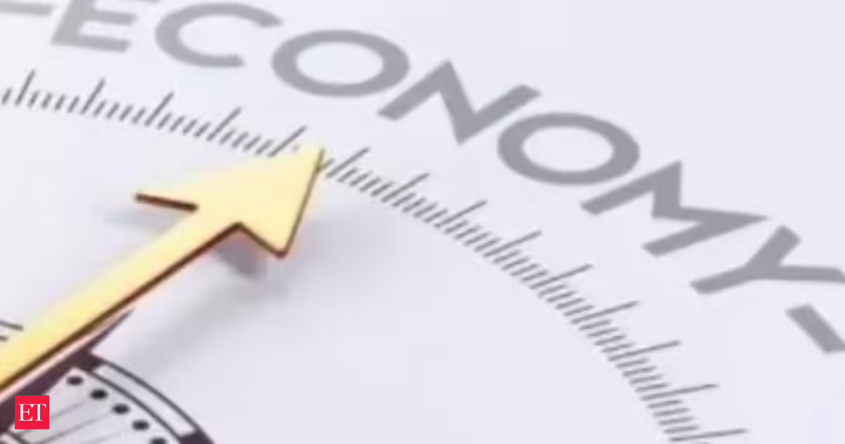 Why CEA Anantha Nageswaran says India is going through a ‘Stay Steadiness of Funds Stress Check’