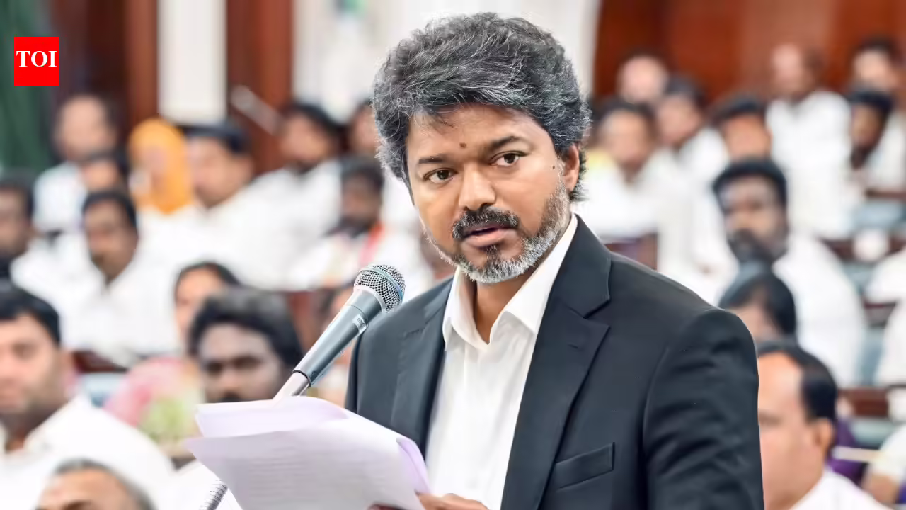 Tamil Nadu cupboard growth: CM Vijay inducts VCK, IUML MLAs as ministers | India Information