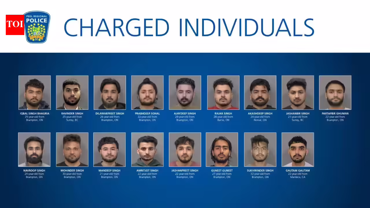 ‘For Brothers’: Main worldwide gang busted in Canada, 17 Indians charged for extortion concentrating on South Asians