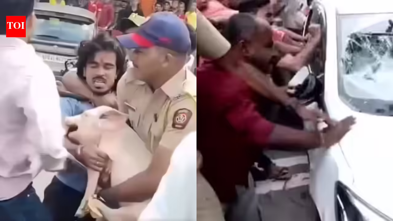 Night information wrap: Protests erupt in Mira Street over Bakrid preparations; CPM employees assault ED automobile in Kerala & extra | India Information