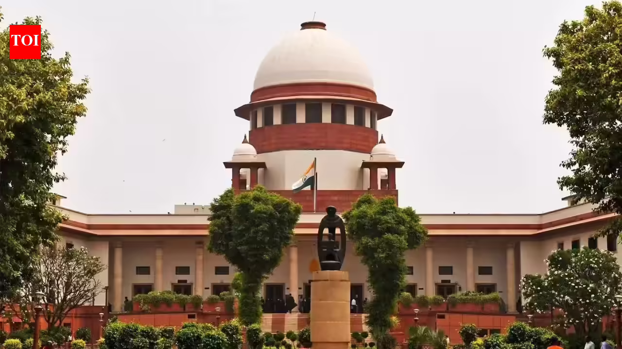 Supreme Courtroom of India Declares Proper to Trauma Care Entry as Constitutional | India Information