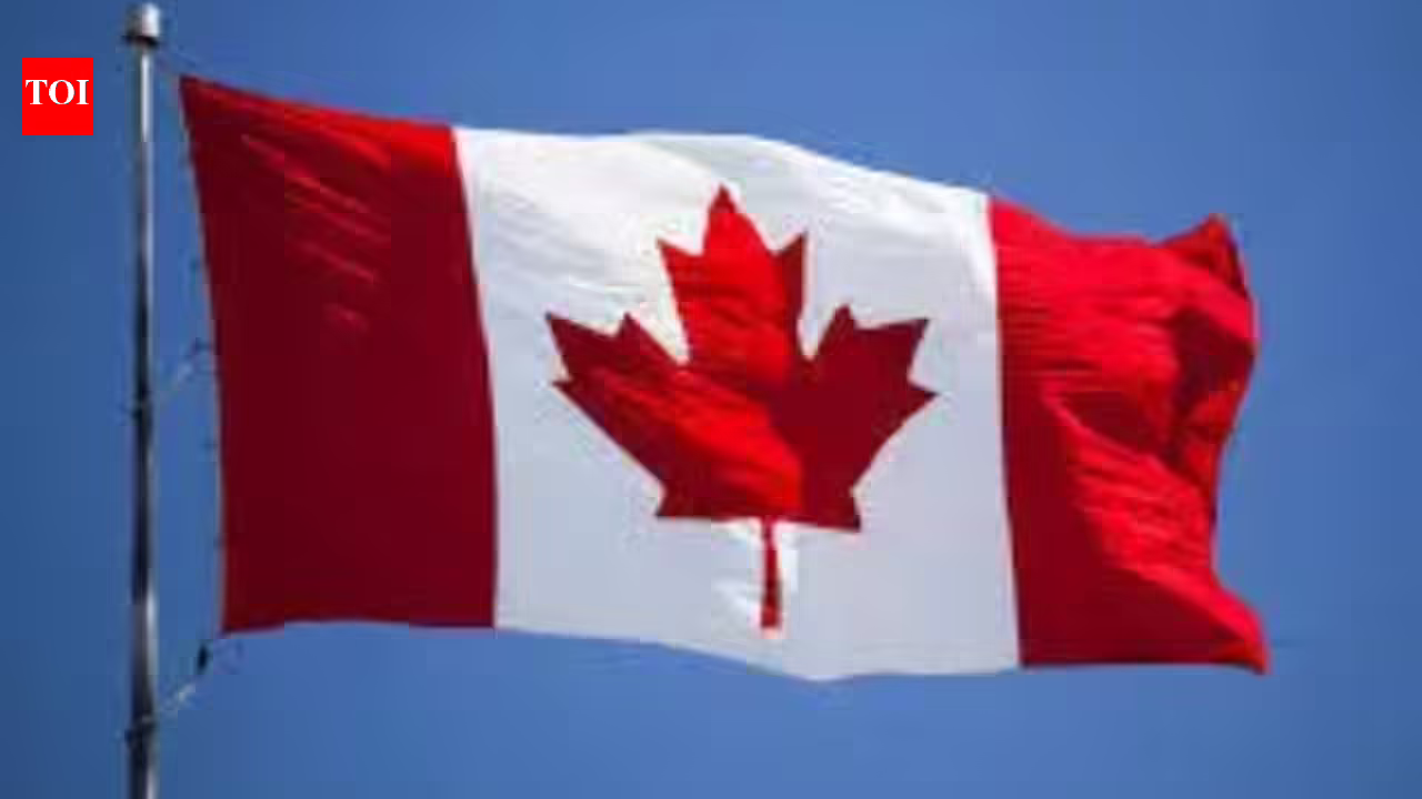I believed it was a toy gun: Indian man in Canada says he had no concept his pal was working for Lawrence Bishnoi