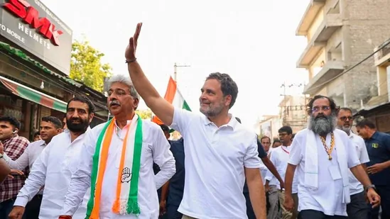 ‘Muthu ji, your political beliefs are your individual’: Rahul Gandhi’s banter with funding advisor