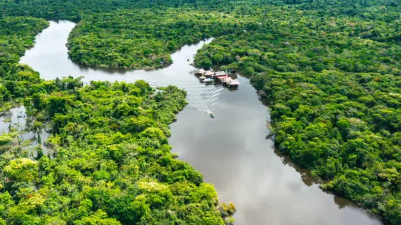 llegal miners extract billions in Amazon gold regardless of Brazil crackdown, Greenpeace finds | World Information