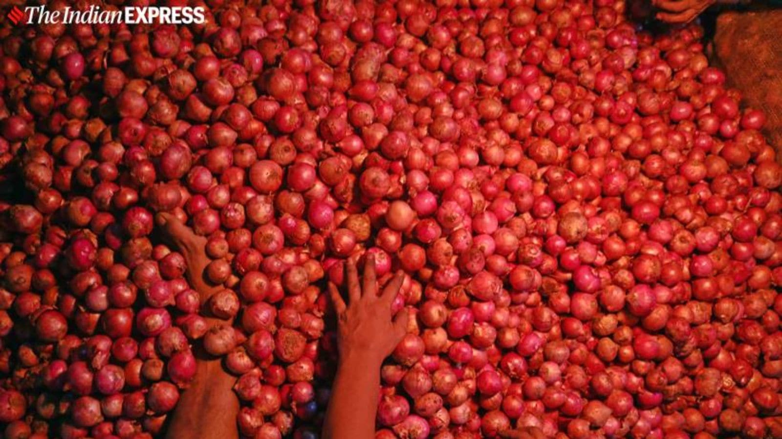 Centre to start onion procurement at present; 2 lakh tonne goal set | India Information
