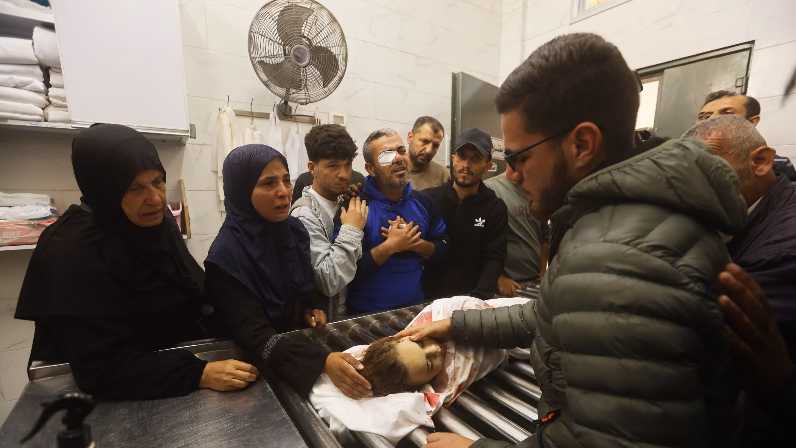 Gaza’s rodent plague gnaws by means of wedding ceremony goals and threatens a brand new epidemic.