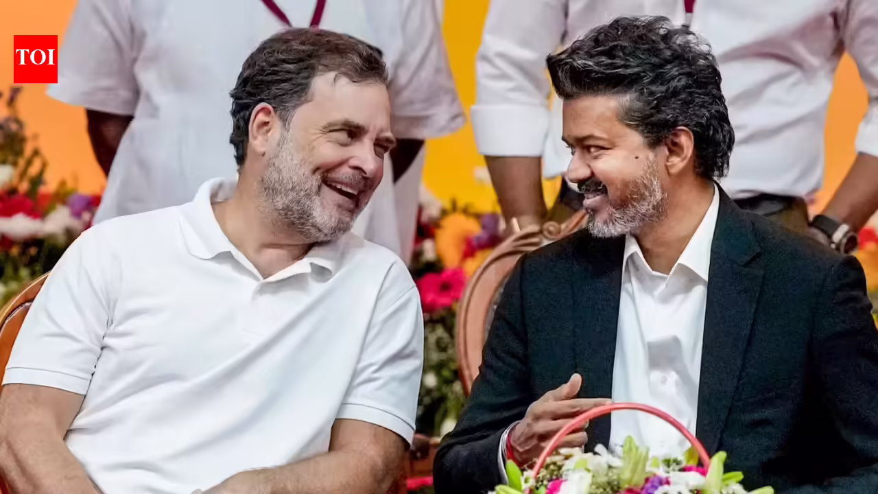TVK-led alliance allots Tamil Nadu Rajya Sabha seat to Congress | India Information