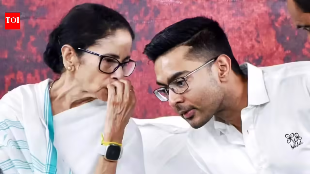 Hypothesis mounts over TMC’s MPs, its heft in INDIA bloc | India Information
