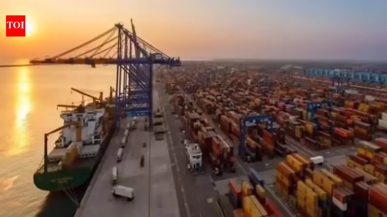 India’s Mundra Port linked to Saudi Arabia’s Jeddah in new Crimson Sea transport route