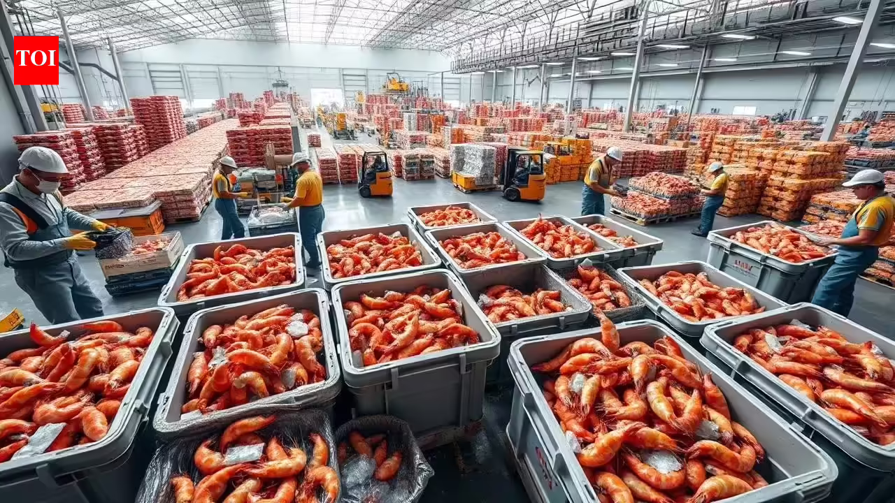 Banned antibiotics behind 43% of shrimp export rejections; CDSCO seeks stricter enforcement | India Information