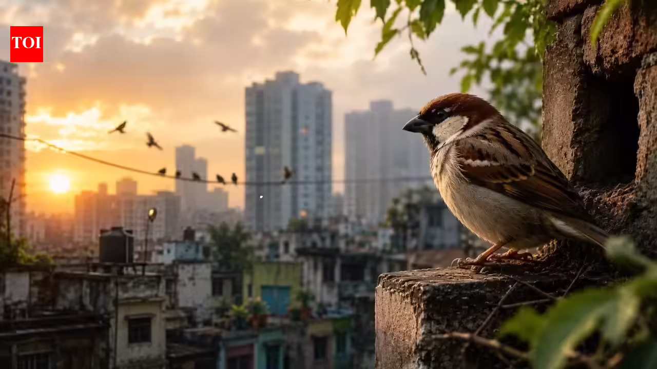 Bringing Again the Chirping Sparrow: Reviving Our City Ecosystem | India Information