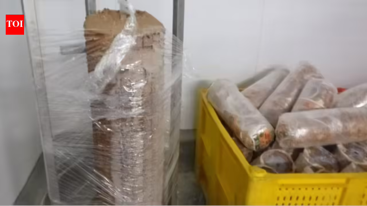 Kebab firm fined over Rs 6.3 crore for promoting lamb that was ‘principally pores and skin and fats’ in UK; given 4 years to pay