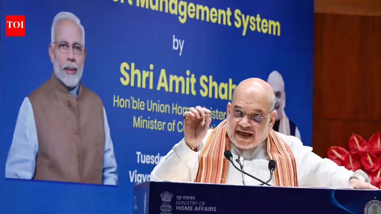 Amit Shah launches Land Port Administration System to chop cargo delays, increase border commerce effectivity | India Information