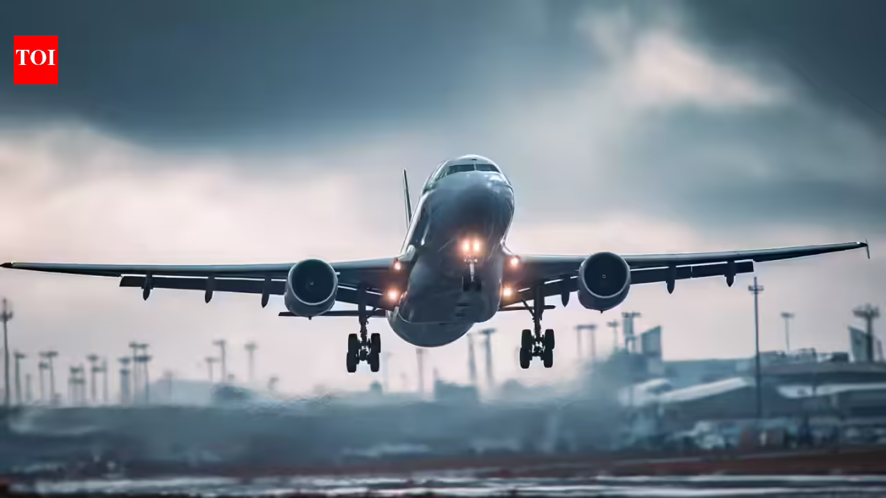 How & why the South took command of India’s skies | India Information