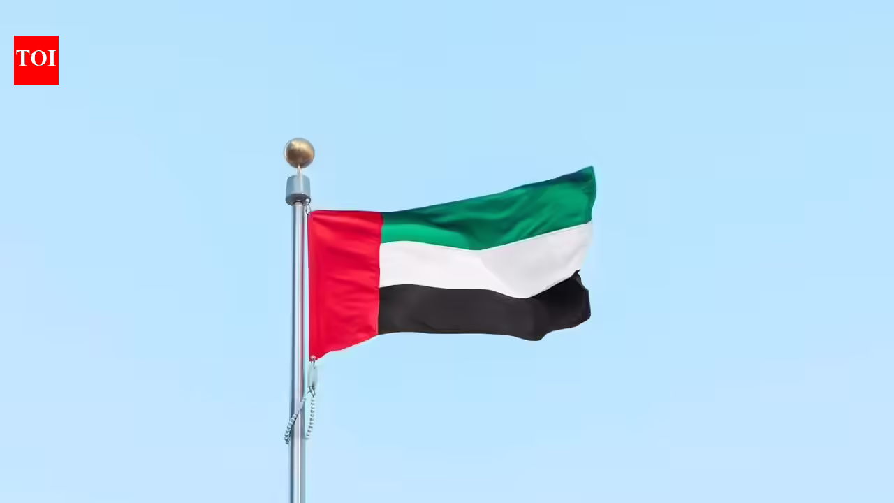 Dubai Visa Guidelines 2026: Dubai visa guidelines 2026: 10 main UAE visa adjustments expats, staff and vacationers have to know | World Information