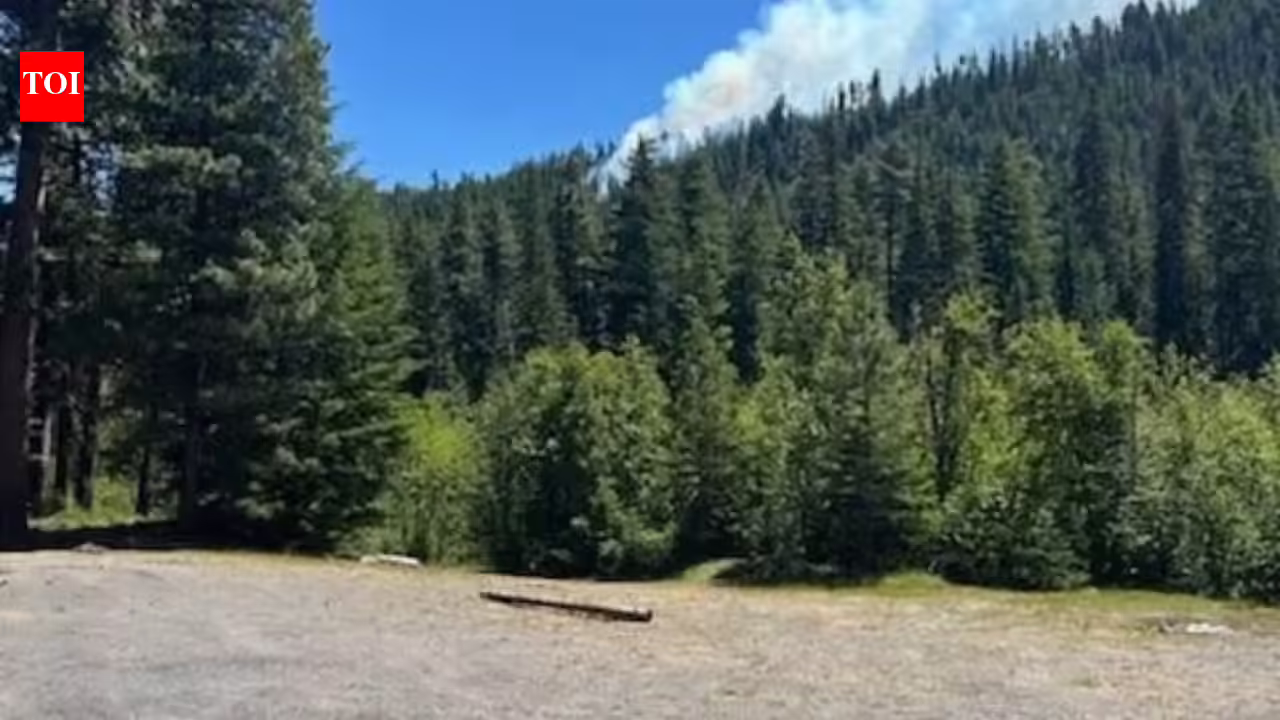 US Marine Corps F/A-18 jet crashes in Washington state, sparks wildfire; pilot sustains minor accidents