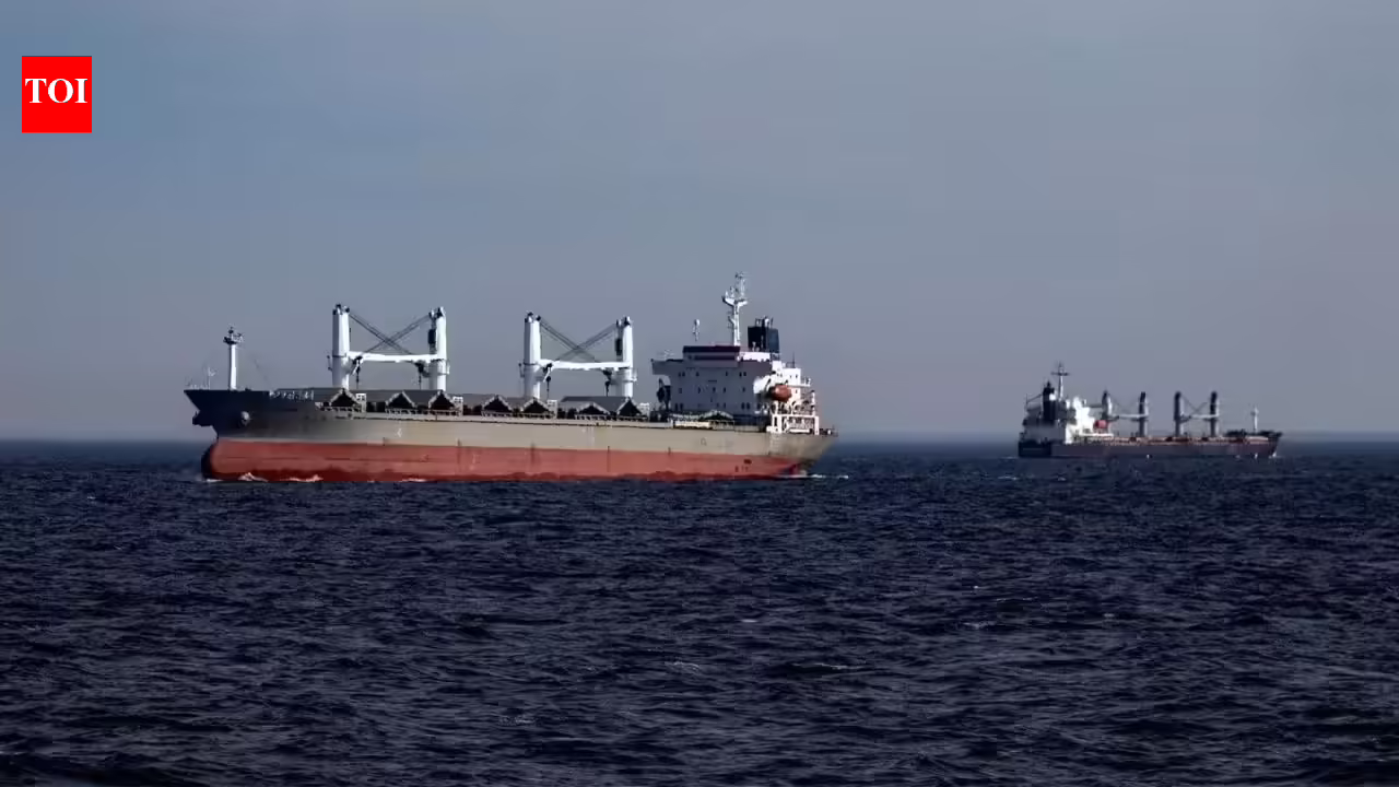 What prompted India-flagged Virat 1 carrying 14 Indians to sink off Oman? | India Information