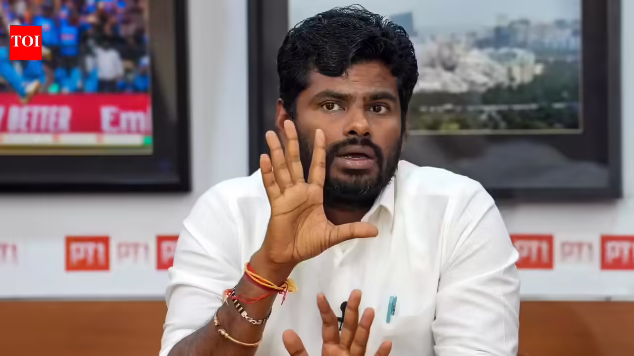 Why ‘military-grade’ safety? Ex-BJP chief Annamalai, BJP lock horns over NEET-UG re-exam | India Information