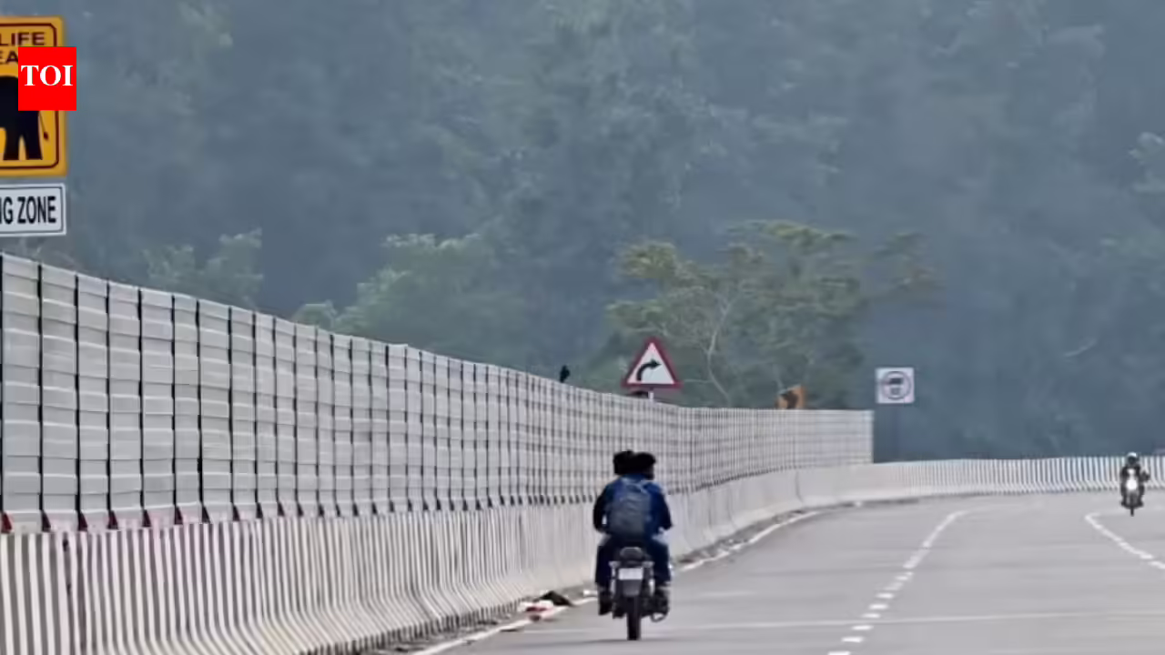 Revolutionizing Highways: NHAI’s AI Software ‘Margsarthi’ Detects Mission Discrepancies | India Information