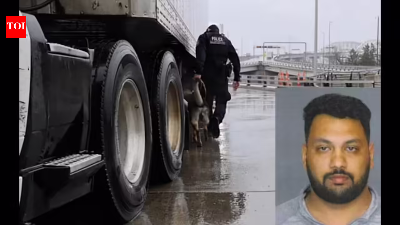 Cocaine hidden inside cheese powder field: Indian man arrested on US-Canada border, says he did not know in regards to the drug
