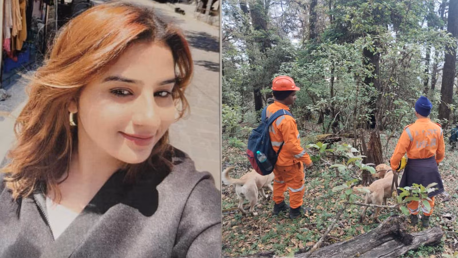 150 personnel, two drones, three canine squads and a hunt for a lacking trekker in Uttarkashi | India Information