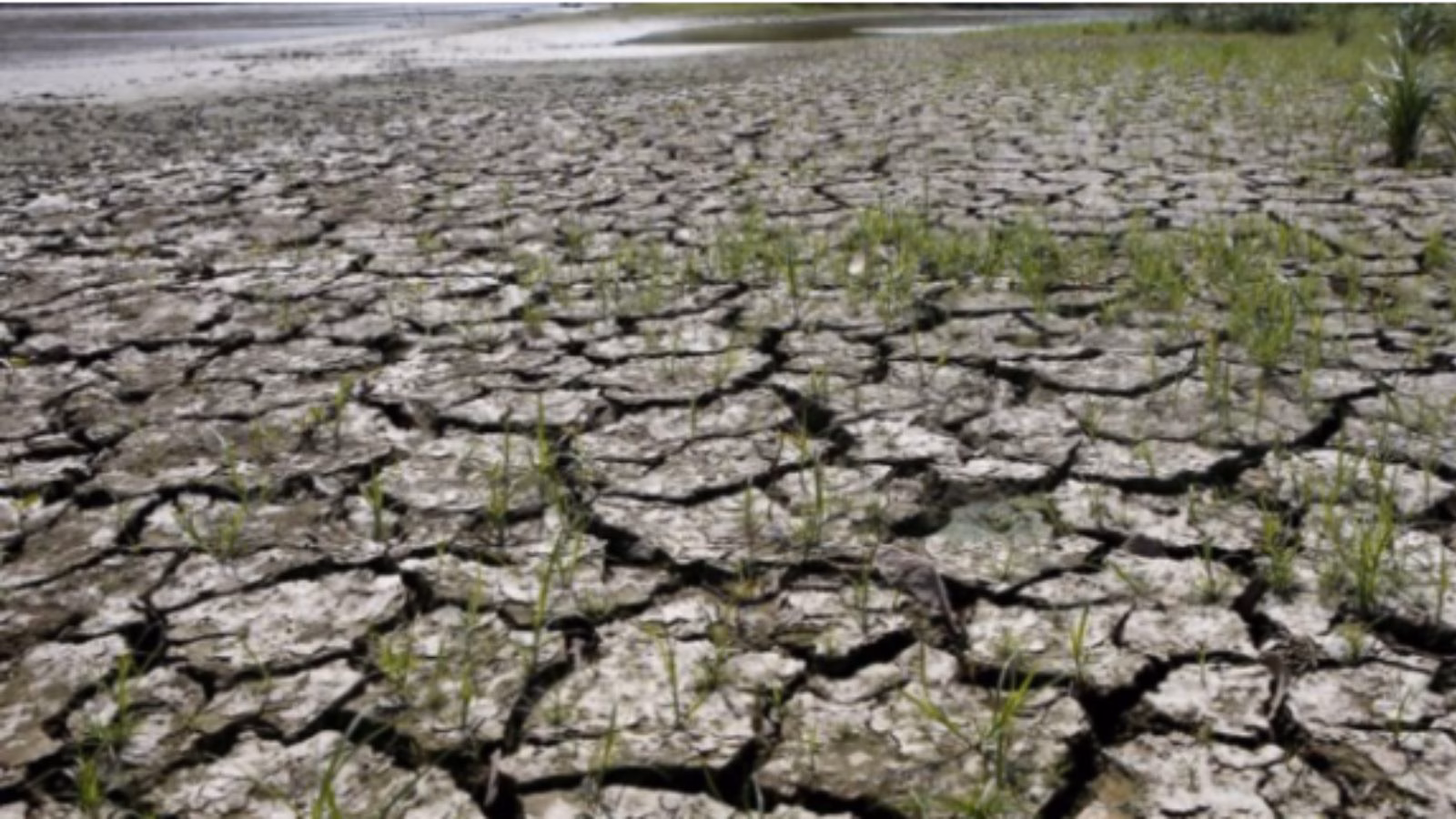 How the local weather sample affected India earlier than