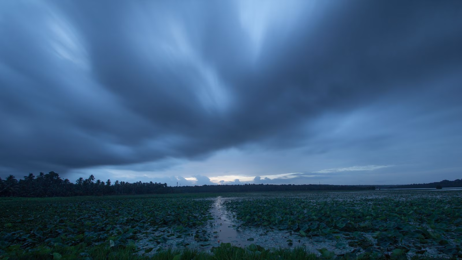 Monsoon strikes deeper inland. Examine the forecast right here | India Information