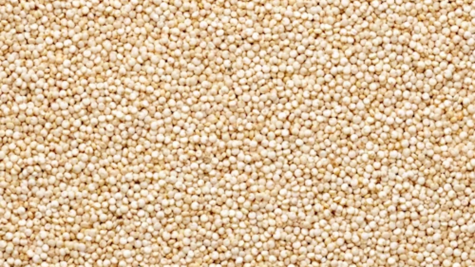 As El Niño threatens monsoon, farmer teams promote millets, mulching and drip irrigation | India Information
