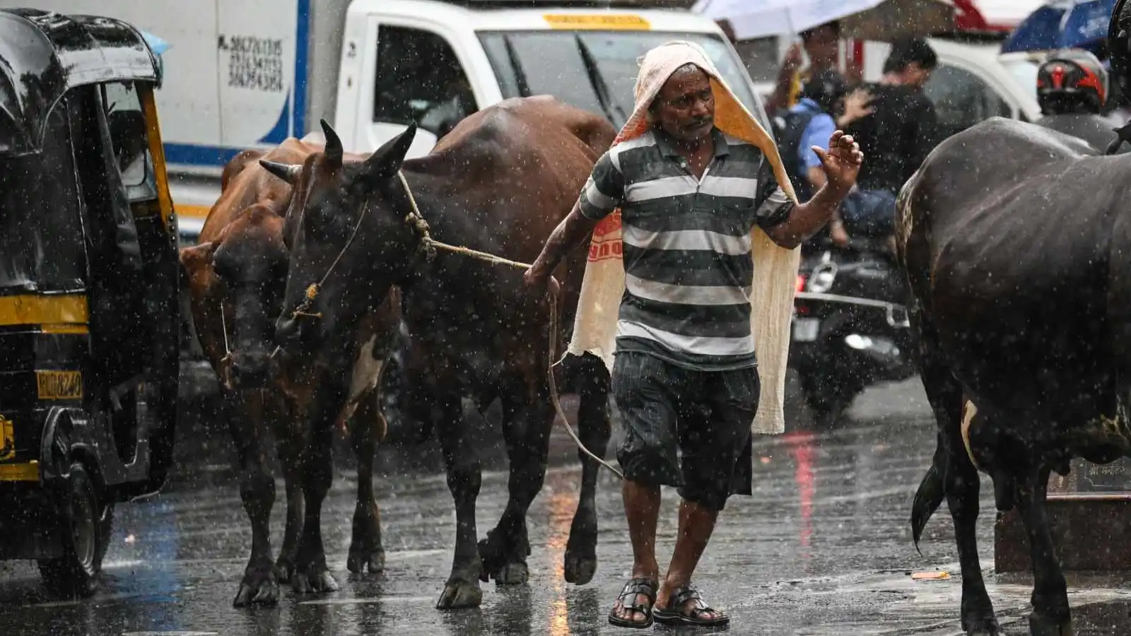 Monsoon progresses steadily: Rainfall to accentuate in Maharashtra, Goa, and northeast India | India Information