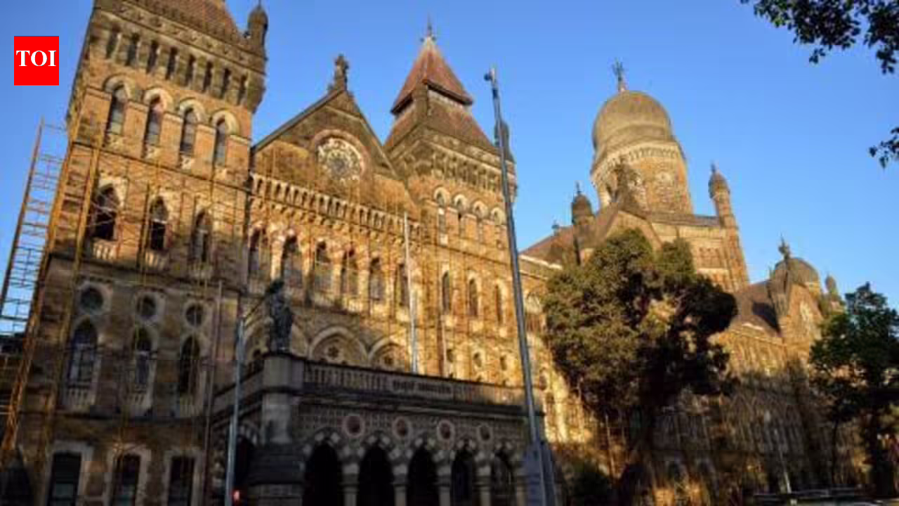AIMIM, NCP ladies BMC corporators disqualified over invalid caste certificates | India Information